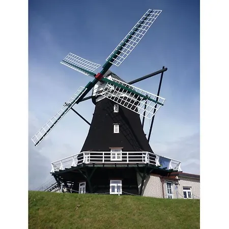 Halligblick In The Nordermuehle